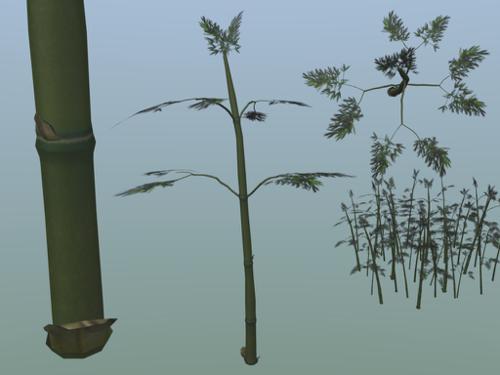 Nature bamboo stalks preview image